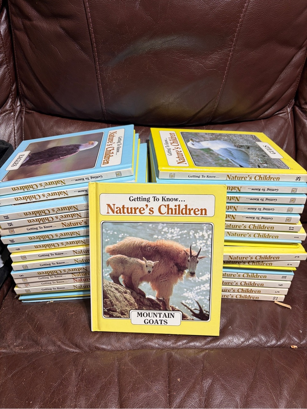 Full set of Natures Children